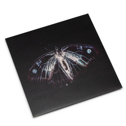 Bestia Ire