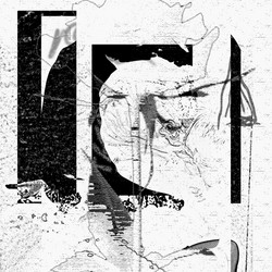 Open Window 