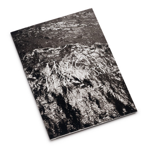 Waters' Witness #03 (Book)