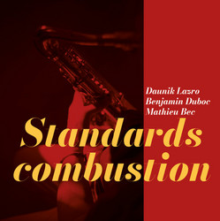 Standards Combustion