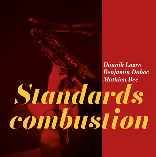 Standards Combustion