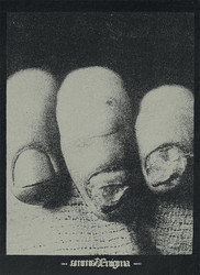 Gamma Ænigma 