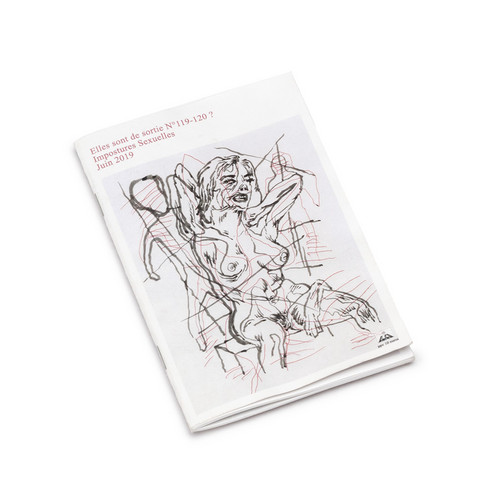 Elles Sont De Sortie N° 119 - 120 - Impostures sexuelles (Book)
