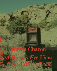 A Worm's Eye View From a Bird's Beak (Book)