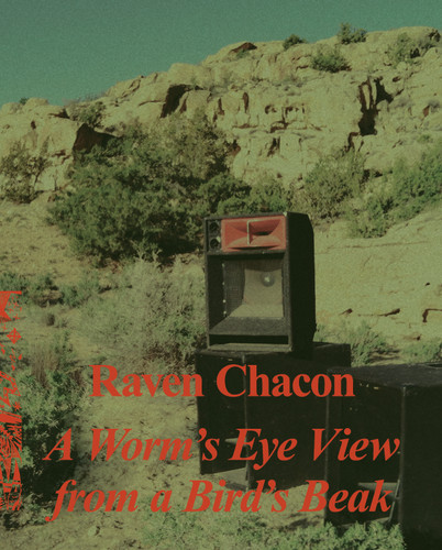 A Worm's Eye View From a Bird's Beak (Book)