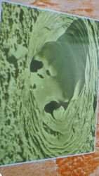 Sacril​è​ge V​é​n​é​ration Vol. 8 