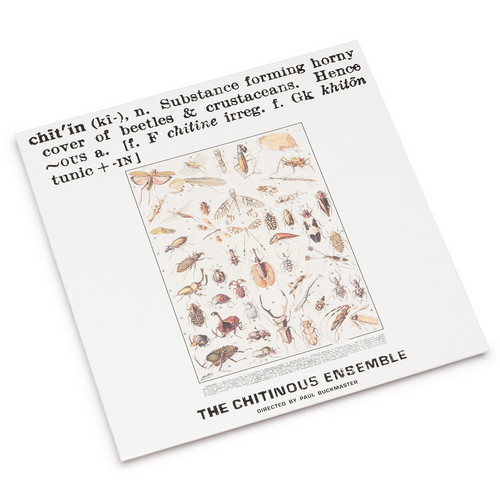 Chitinous