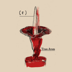 Titan Arum