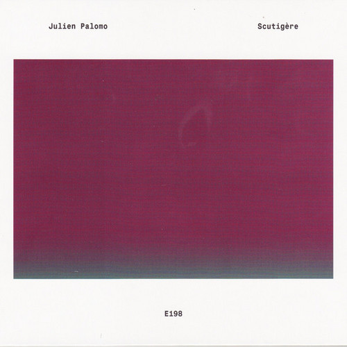 Scutigère
