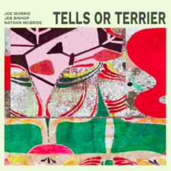 Tells Or Terrier