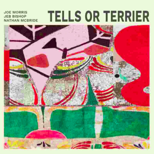 Tells Or Terrier