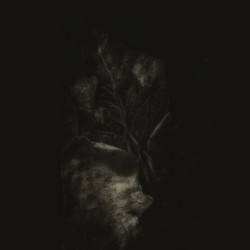 Patterns of Loss
