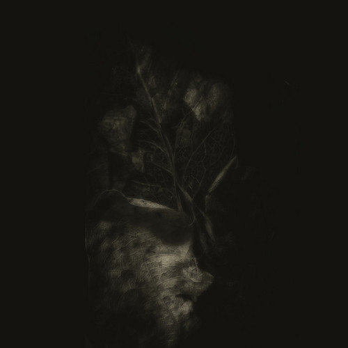 Patterns of Loss
