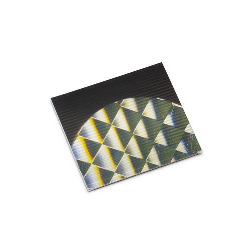 Indexical​/​Rhizome 