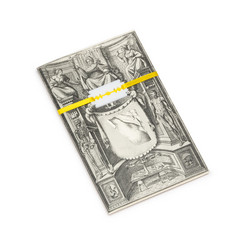 Tavola Anatomica XIV
