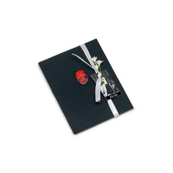 Memento, Tributo A Dylan Thomas 