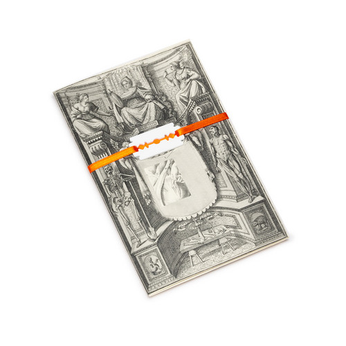 Tavola Anatomica XVI