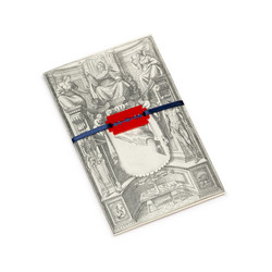 Tavola Anatomica XVII