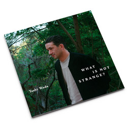 What Is Not Strange? 