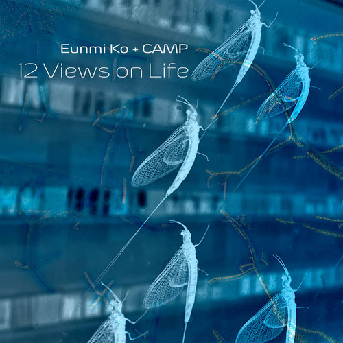12 Views on Life 