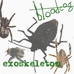 Exoskeleton