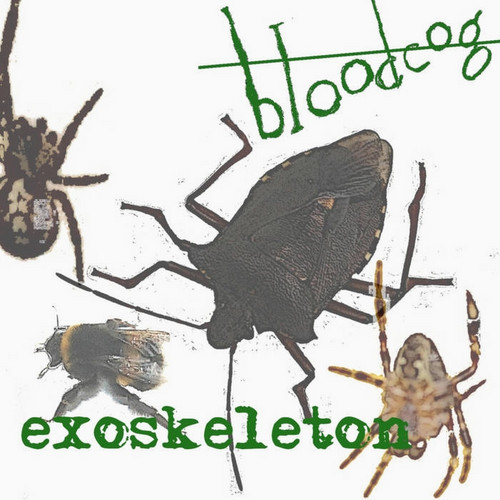 Exoskeleton