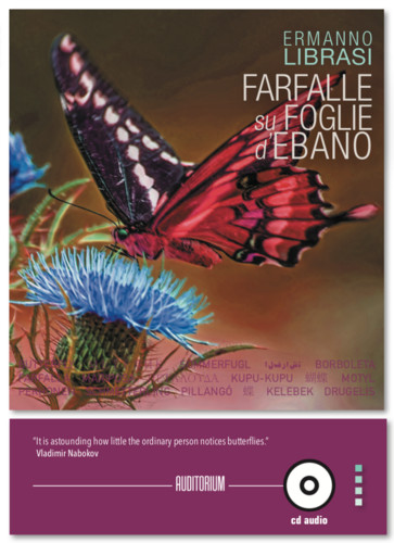 Farfalle Su Foglie D'Ebano