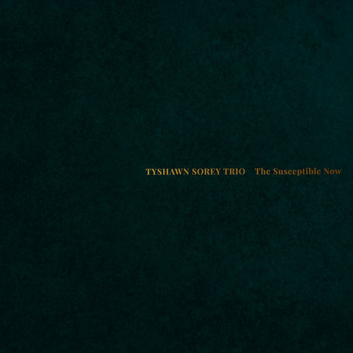 The Susceptible Now