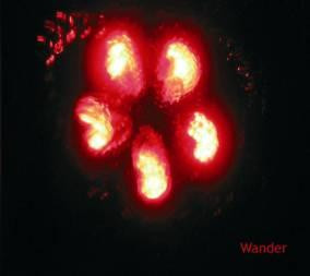 Wander