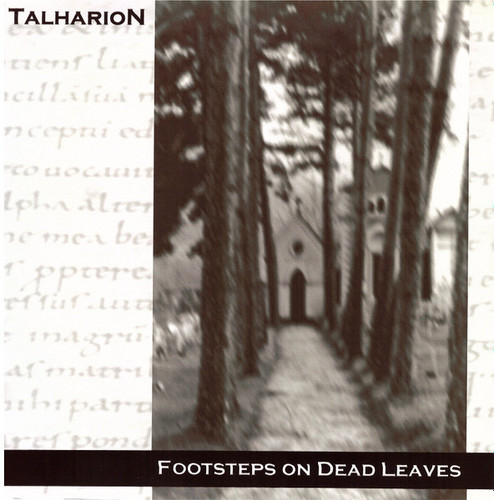 Footsteps on Dead Leaves
