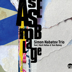 Assemblage