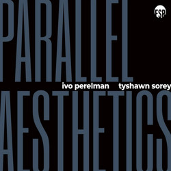  Parallell Aesthethics 
