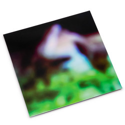 Disc Rot