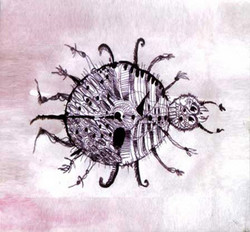 Ex-perimento #5