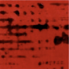 ASp/SEC_ 