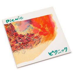 Picnic