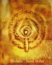 Seed Solar