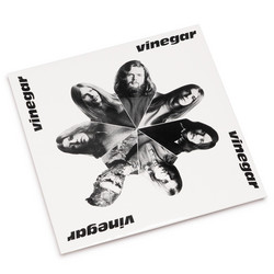 Vinegar