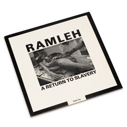 A Return To Slavery / Slaughter At Random
