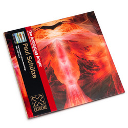 The Anihilating Angel (Or, The Surface Of The World) (LP)
