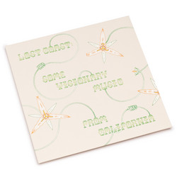 Lost Coast: Some Visionary Music From California 