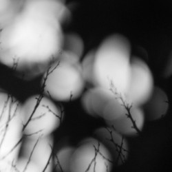 Silentium