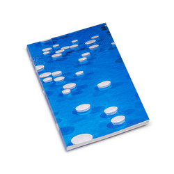 Clinamen (Book)