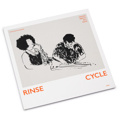 Rinse Cycle