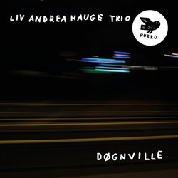 Døgnville