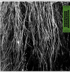 Nocturnal Rainforest