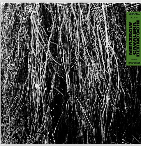 Nocturnal Rainforest
