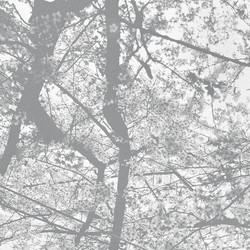 Obliteration Bliss