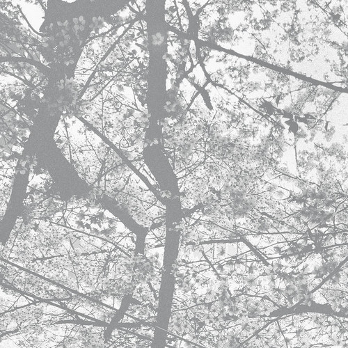 Obliteration Bliss