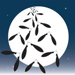 Tsuki